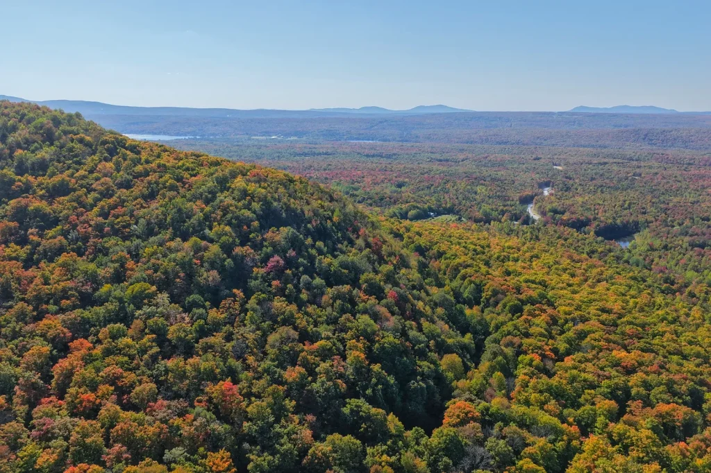 La forêt mature du domaine La Tanière, à Eastman