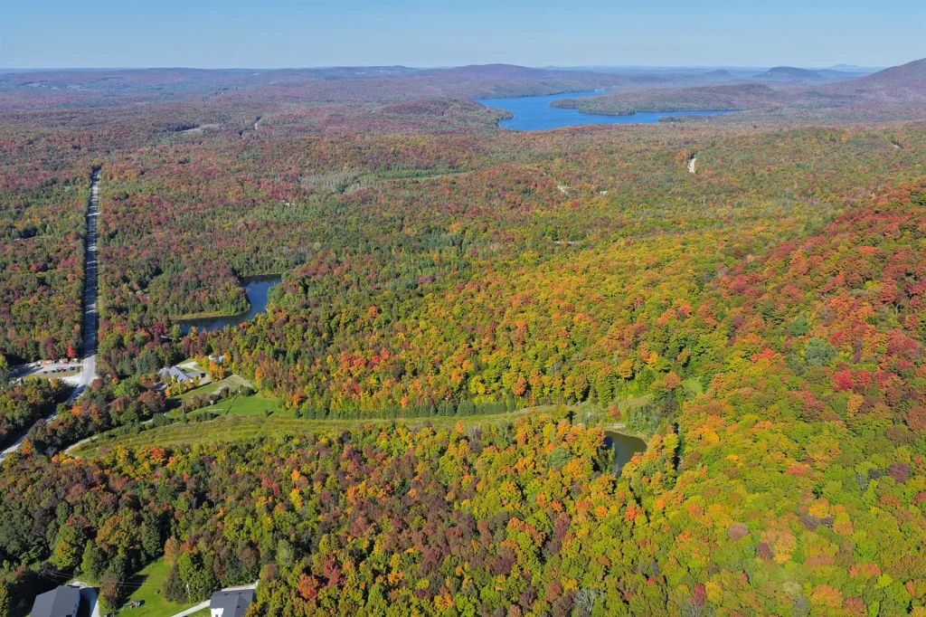 Le territoire boisé de La Tanière vu du ciel, à Eastman